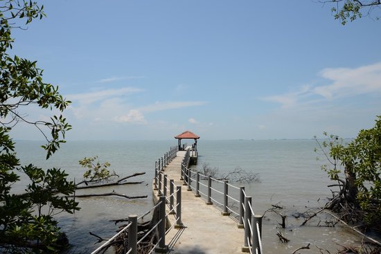 Tanjung Piai National Park